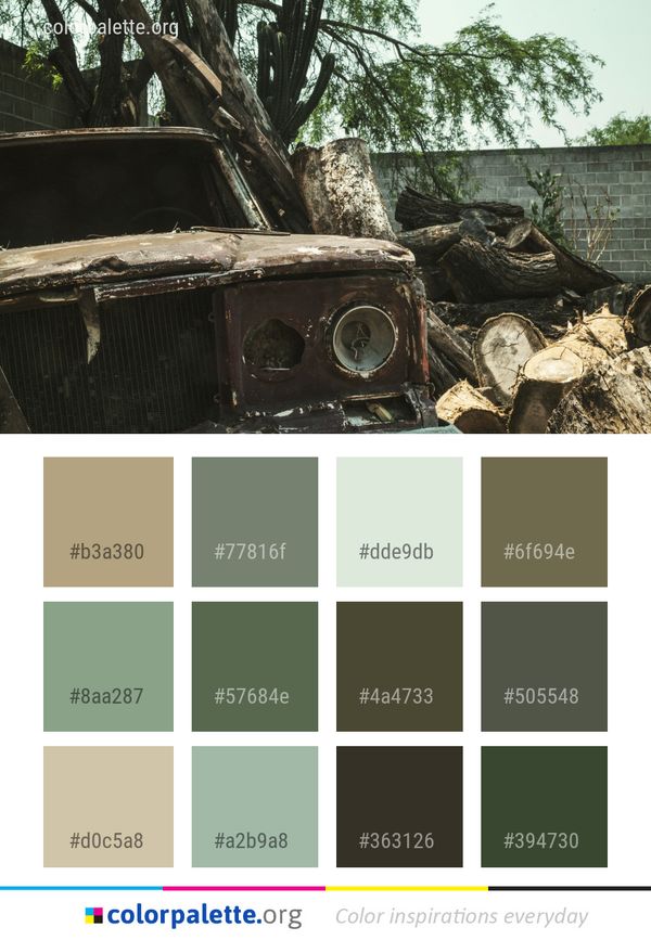 Car Motor Vehicle Color Palette