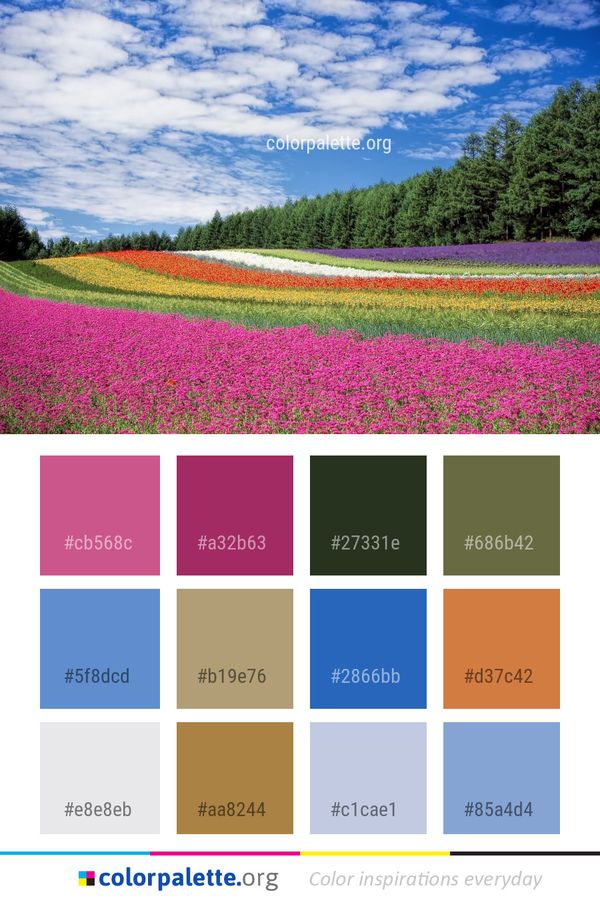 Field Sky Flower Color Palette