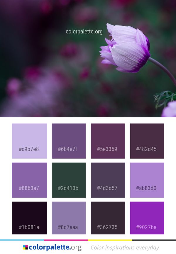 Flower Pink Purple Color Palette