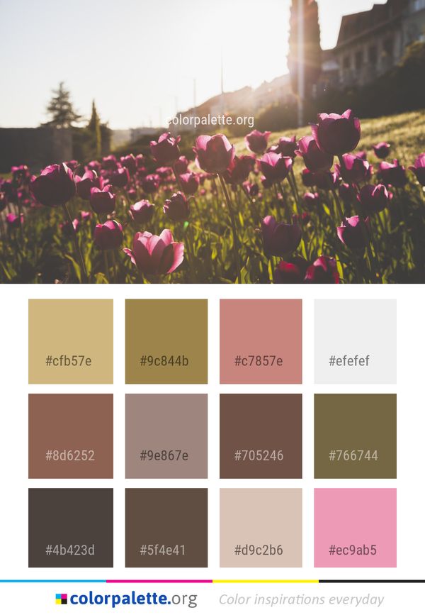 Flower Plant Pink Color Palette