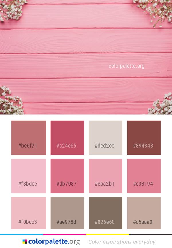 Pink Petal Flower Color Palette
