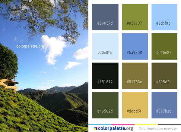 Sky Nature Green Color Palette