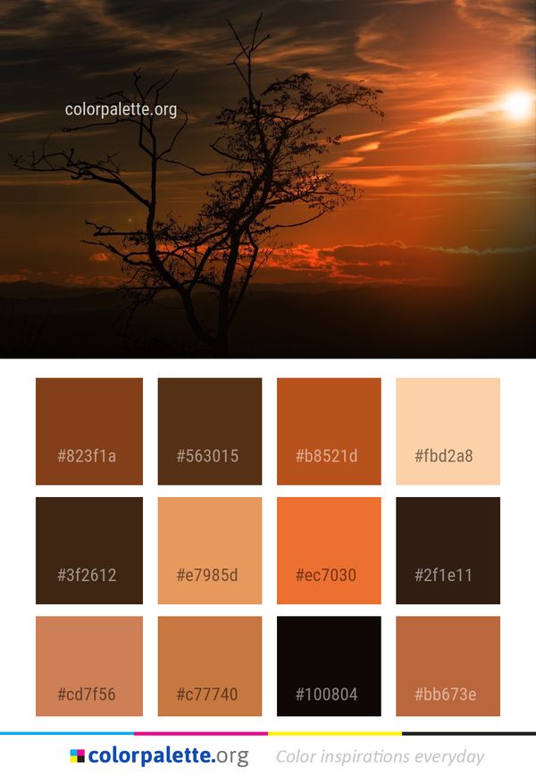 Sky Sunset Sunrise Color Palette