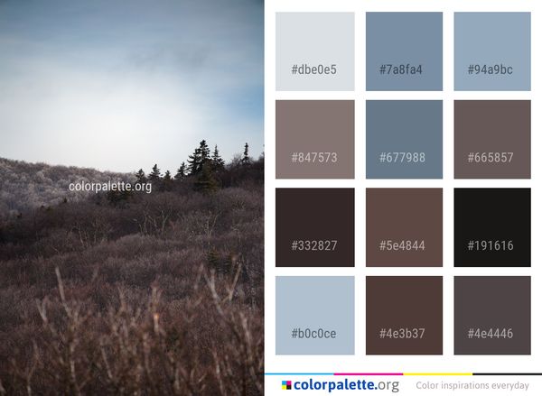 Sky Wilderness Ecosystem Color Palette