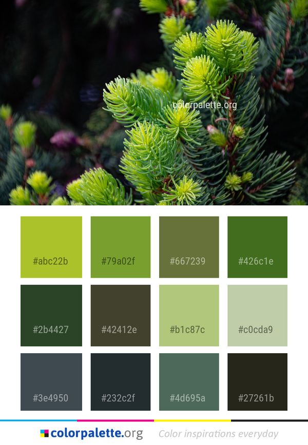 Vegetation Plant Ecosystem Color Palette