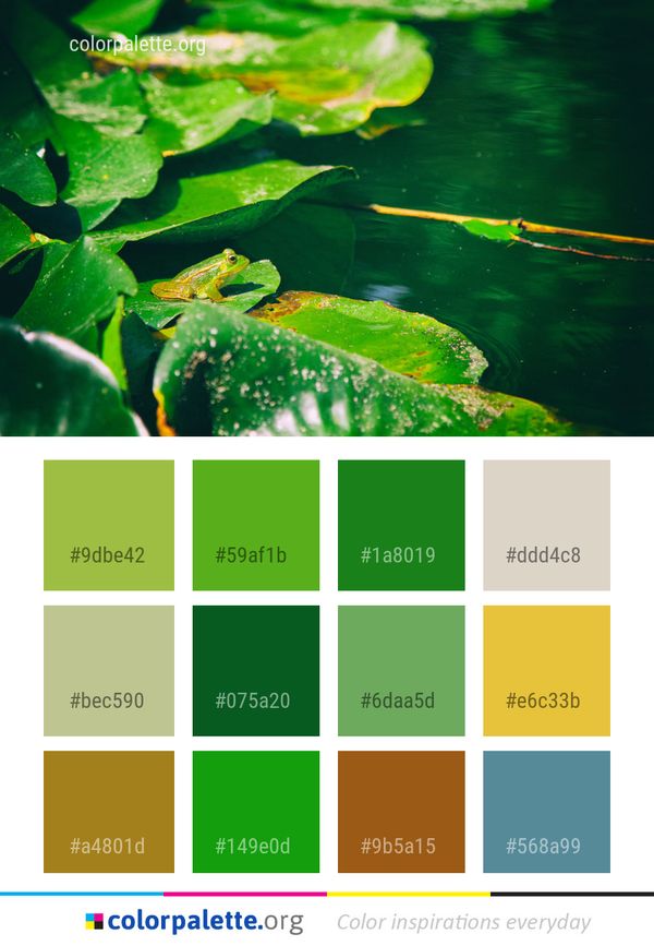 Water Green Leaf Color Palette