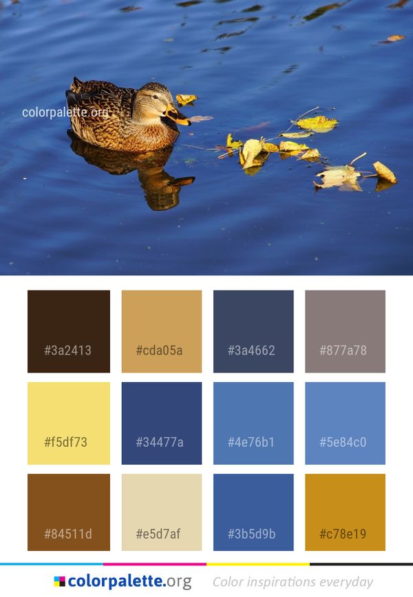 Bird Duck Water Color Palette