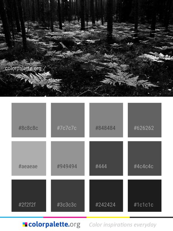 Black And White Vegetation Nature Color Palette