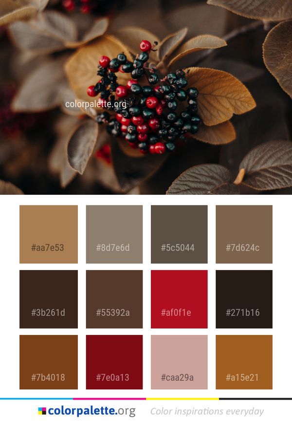 Flora Plant Berry Color Palette