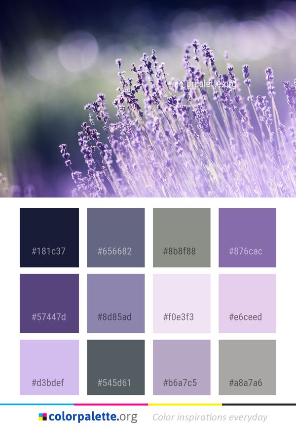 Lavender Water Color Palette