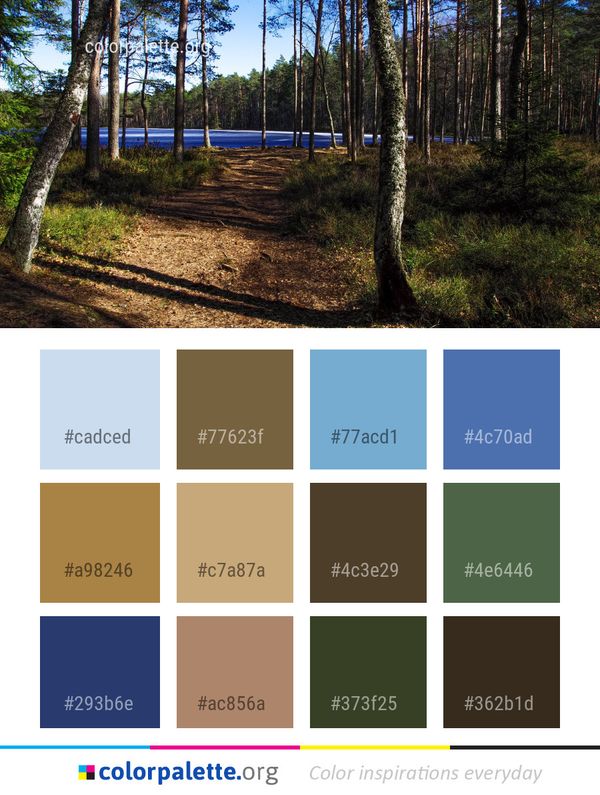 Nature Path Wilderness Color Palette