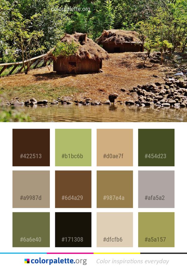 Nature Reserve Wildlife Rock Color Palette