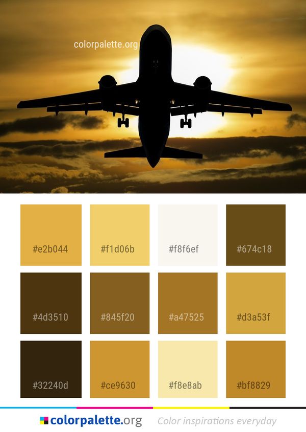 Sky Airplane Airline Color Palette