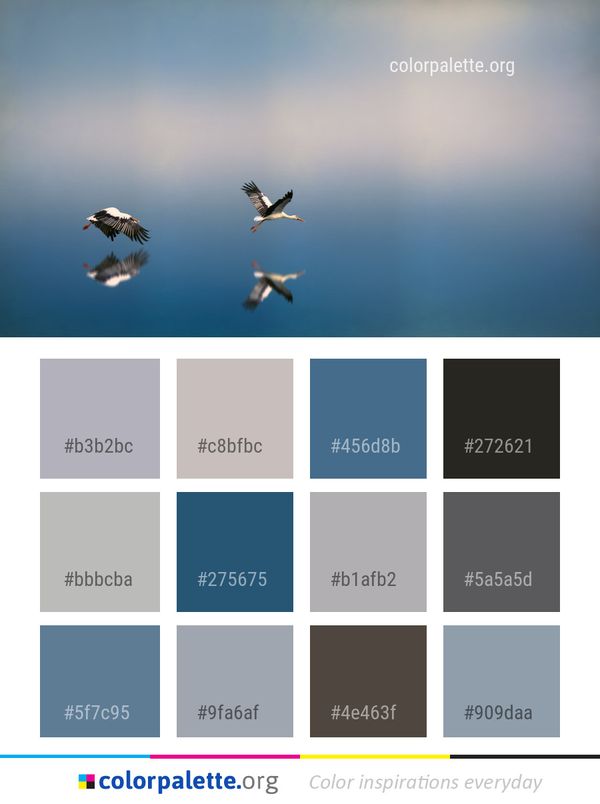 Sky Bird Atmosphere Color Palette