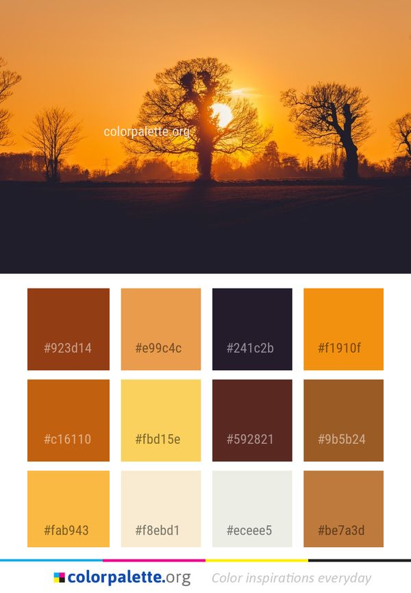 Sky Tree Sunrise Color Palette