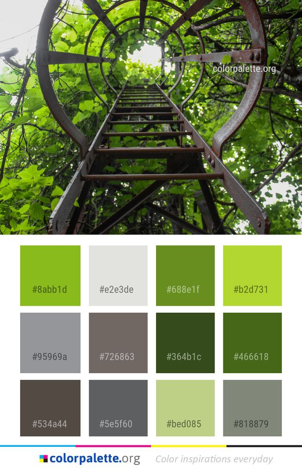 Tree Vegetation Flora Color Palette