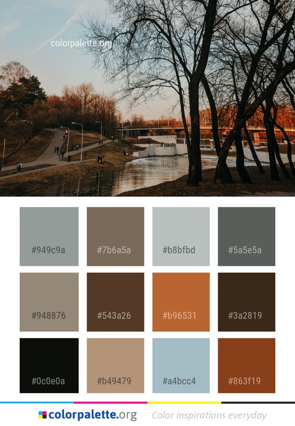 Water Waterway Tree Color Palette
