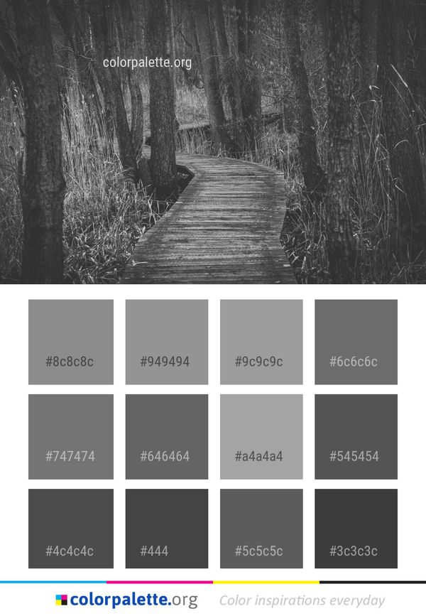 Black Nature And White Color Palette
