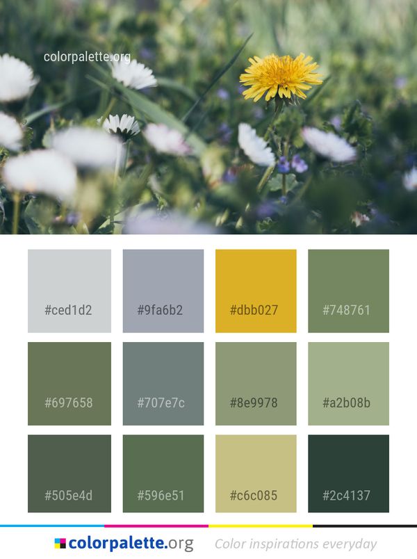Flower Flora Plant Color Palette