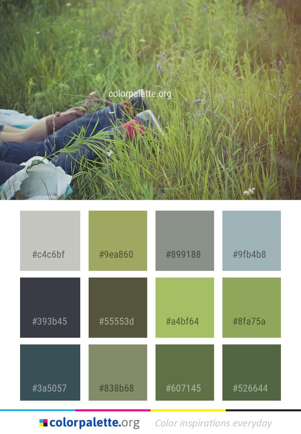 Grass Plant Ecosystem Color Palette