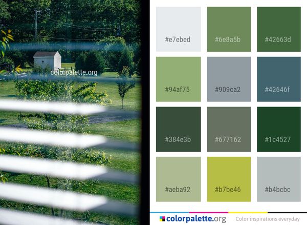 Green Grass Leaf Color Palette