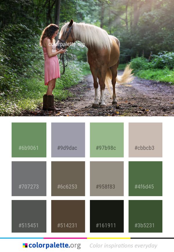 Horse Like Mammal Tree Color Palette