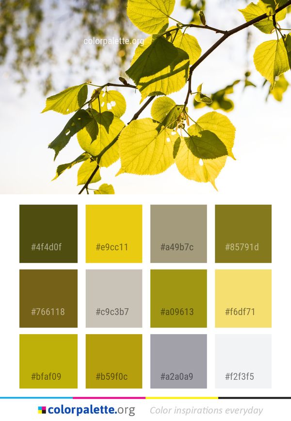Leaf Yellow Flora Color Palette