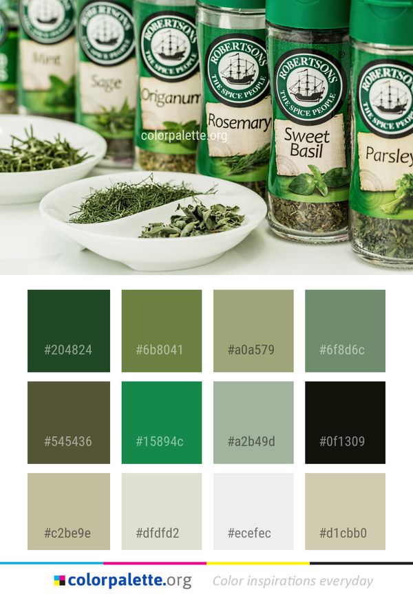 Product Herb Superfood Color Palette