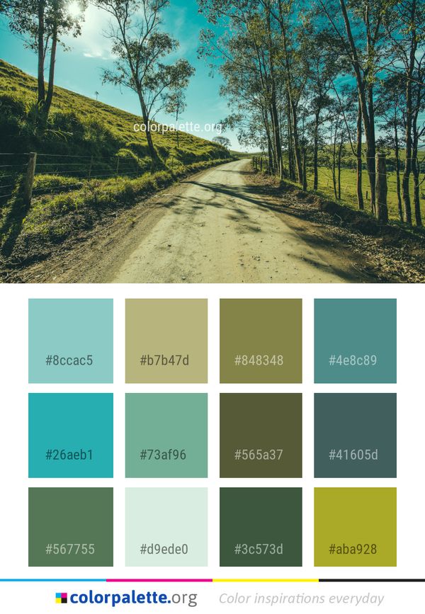 Road Path Nature Color Palette