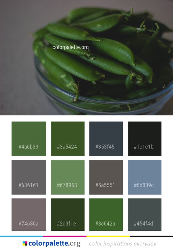 Vegetable Snap Pea Color Palette