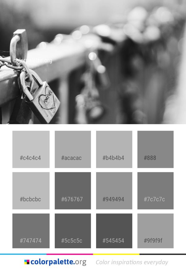 White Black Photograph Color Palette