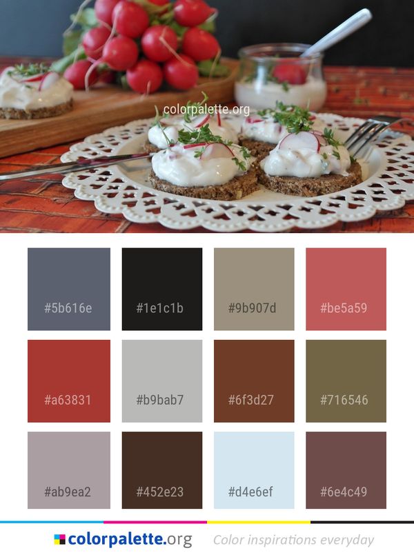 Appetizer Dish Food Color Palette