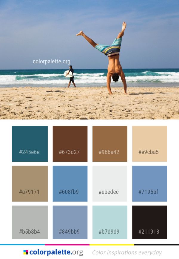 Beach Sea Body Of Water Color Palette