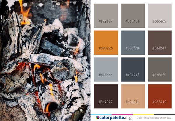 Charcoal Geological Phenomenon Ash Color Palette