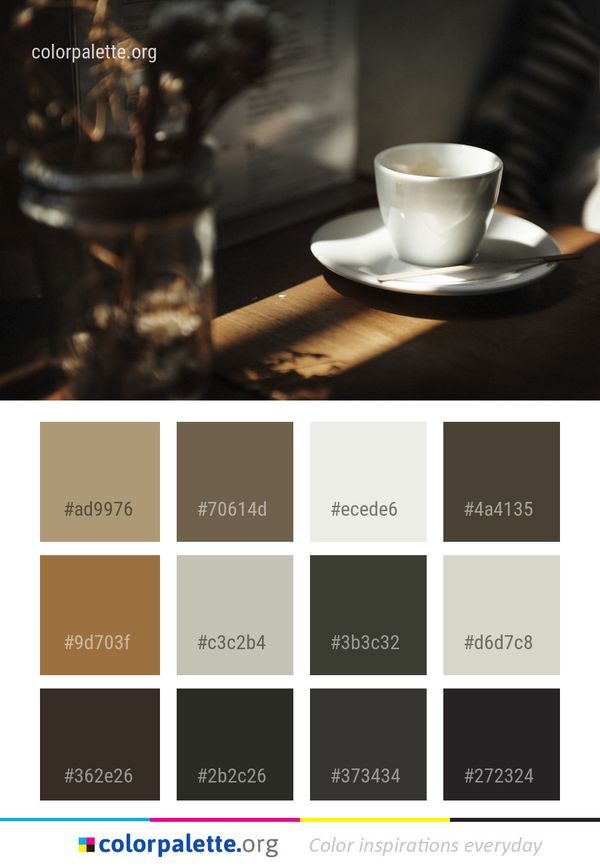 Coffee Cup Color Palette