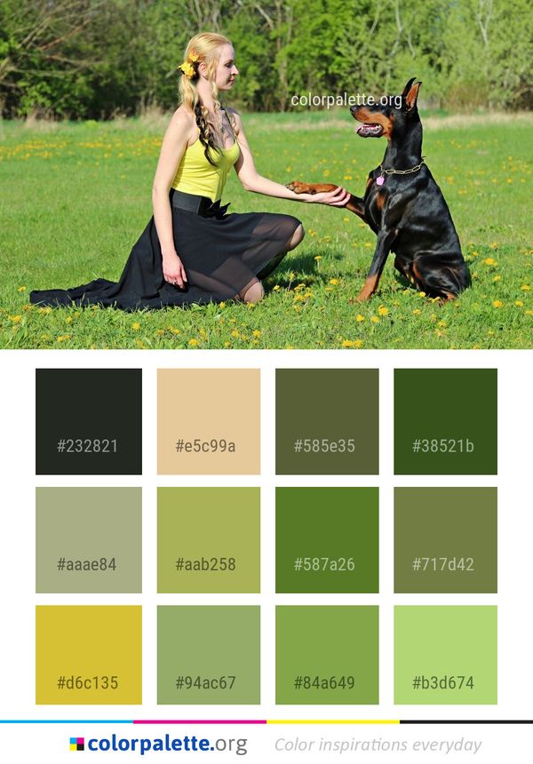 Dog Like Mammal Color Palette