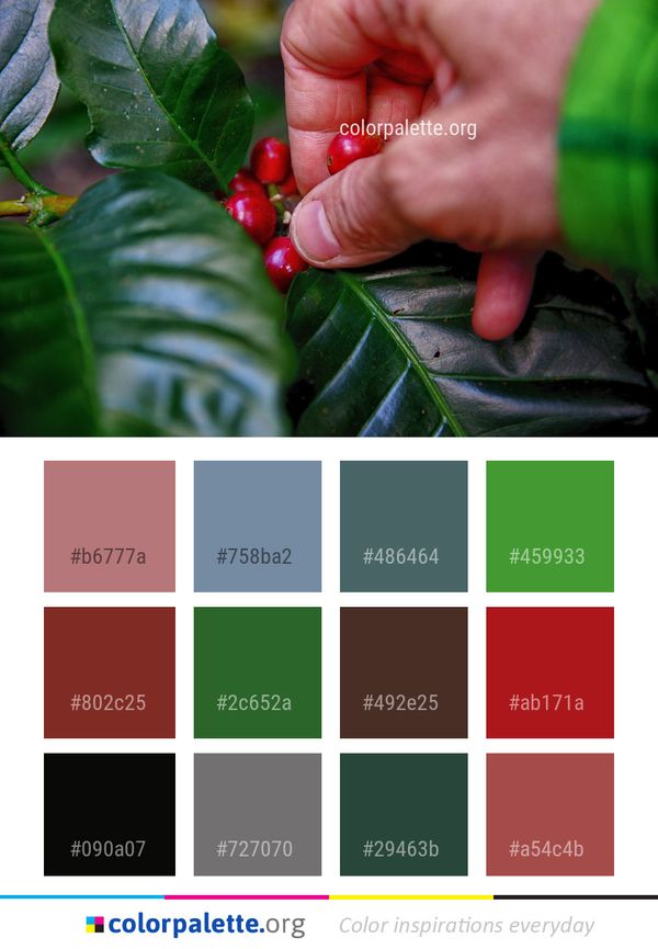 Leaf Close Up Local Food Color Palette
