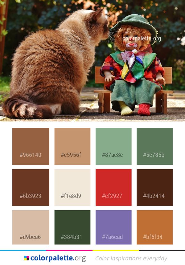 Mammal Cat Play Color Palette