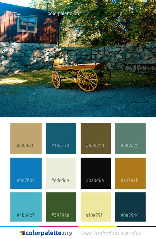 Nature Plant Tree Color Palette