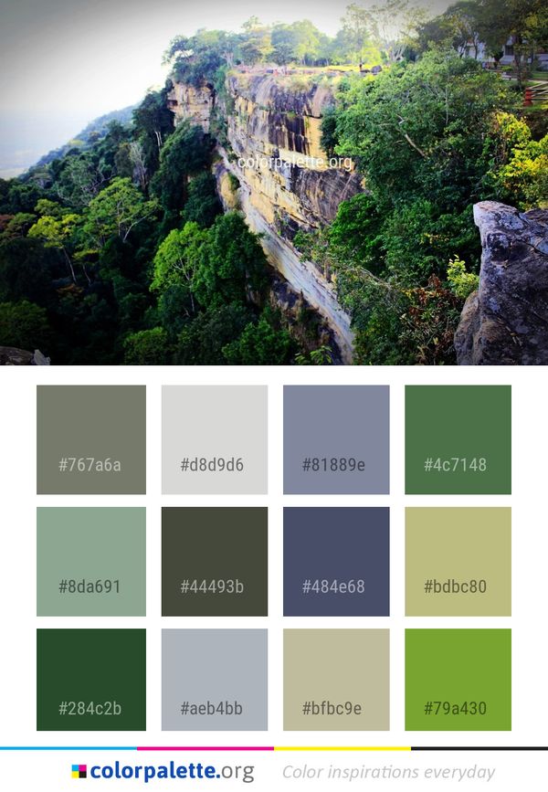 Nature Vegetation Rock Color Palette
