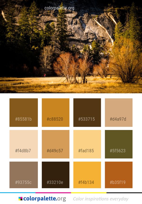 Nature Wilderness Tree Color Palette