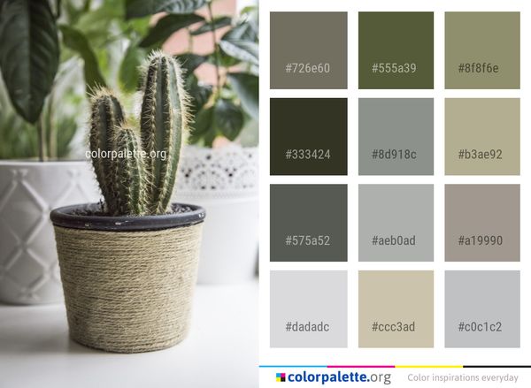 Plant Cactus Flowerpot Color Palette