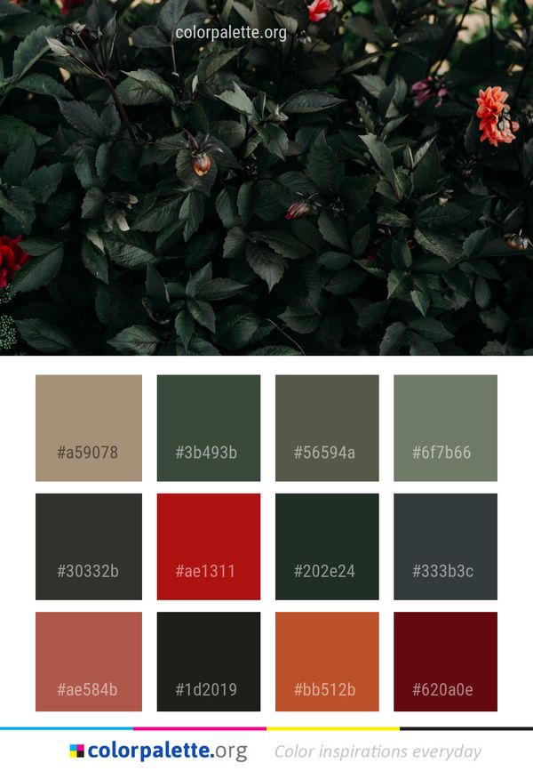 Plant Flora Leaf Color Palette