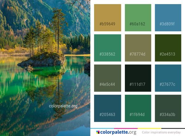 Reflection Nature Water Color Palette