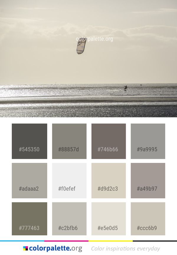 Sky Kite Sports Windsports Color Palette