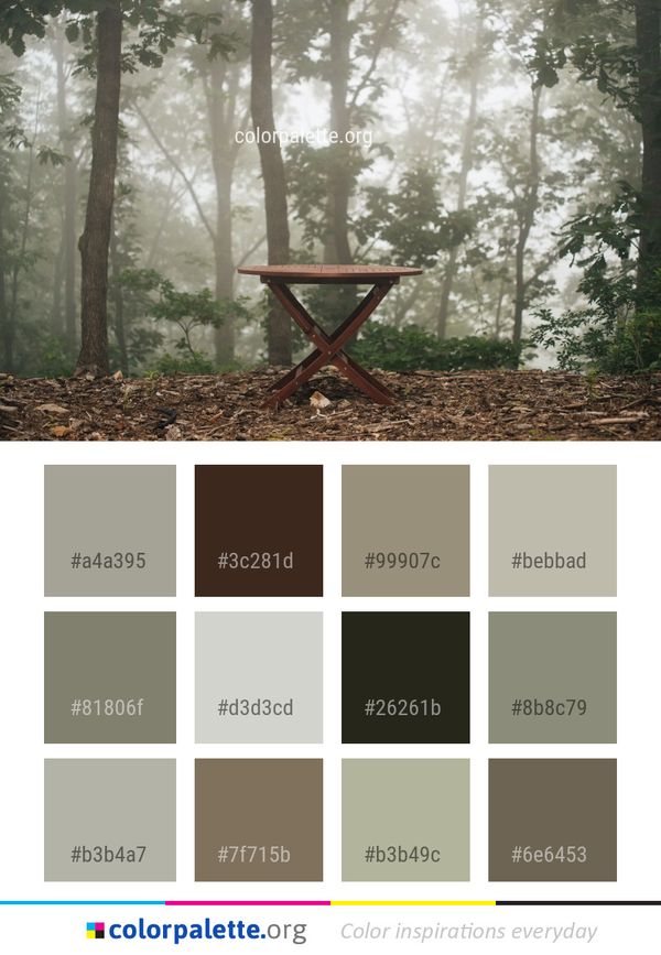 Tree Forest Woodland Color Palette