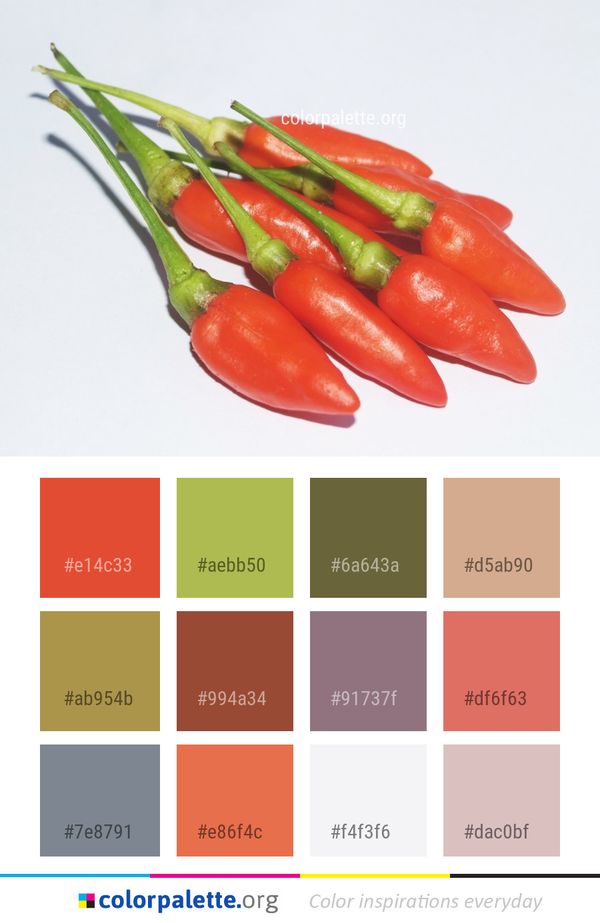 Bird's Eye Chili Vegetable Pepper Color Palette