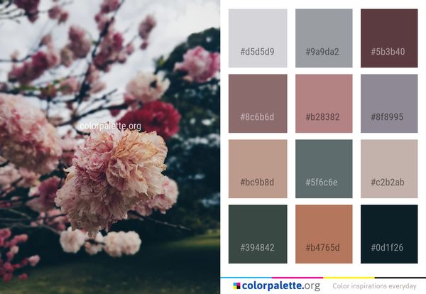 Blossom Flower Pink Color Palette