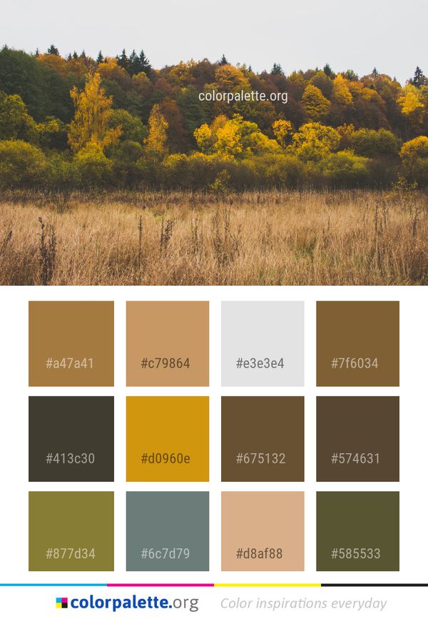 Ecosystem Nature Leaf Color Palette