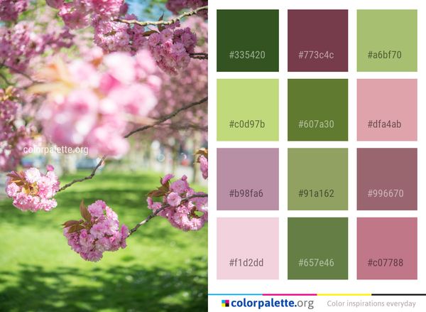 Flower Pink Blossom Color Palette